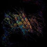 Vaura - Sables (Vinyl) in der Gruppe VINYL bei Bengans Skivbutik AB (3531786)
