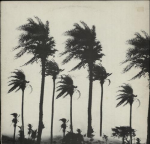 Magazzini Criminali - Crollo Nervoso (+Cd) in der Gruppe VINYL bei Bengans Skivbutik AB (3534015)