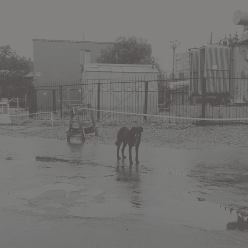 Nivhek - After Its Own Death/Walking in der Gruppe VINYL / Rock bei Bengans Skivbutik AB (3542430)