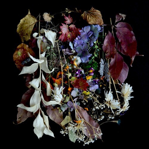 Paws - Your Church On My Bonfire in der Gruppe VINYL / Rock bei Bengans Skivbutik AB (3544997)