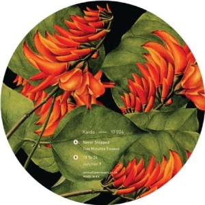 Kaido - Junction 9 in der Gruppe VINYL bei Bengans Skivbutik AB (3545246)