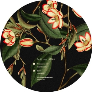 Es-K - Transmission in der Gruppe VINYL bei Bengans Skivbutik AB (3545248)