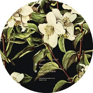Occult - Phoenix Lights in der Gruppe VINYL bei Bengans Skivbutik AB (3545249)