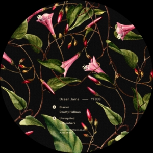 Ocean Jams - Glacier in der Gruppe VINYL bei Bengans Skivbutik AB (3545250)