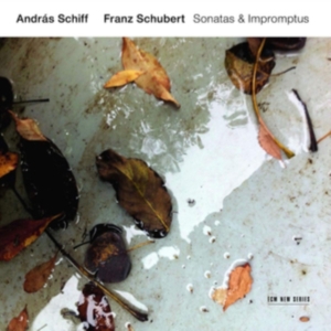 Schubert Franz - Sonatas & Impromptus in der Gruppe CD / Klassiskt bei Bengans Skivbutik AB (3546828)