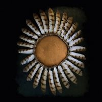 Fauna - Avifauna (2 Lp Gold Vinyl) in der Gruppe VINYL / Hårdrock bei Bengans Skivbutik AB (3549674)