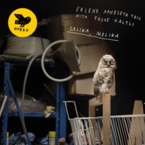 Apneseth Erlend (Trio) - Salika, Molika in der Gruppe CD bei Bengans Skivbutik AB (3553441)