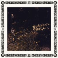Davachi Sarah - Pale Bloom in der Gruppe VINYL bei Bengans Skivbutik AB (3555433)