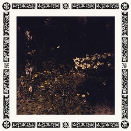 Sarah Davachi - Pale Bloom in der Gruppe CD / Rock bei Bengans Skivbutik AB (3555434)