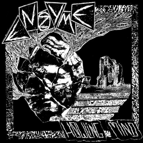Enzyme - Howling Mind in der Gruppe VINYL / Rock bei Bengans Skivbutik AB (3555468)
