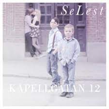 Selest - Kapellgatan 12 in der Gruppe VINYL bei Bengans Skivbutik AB (3563250)