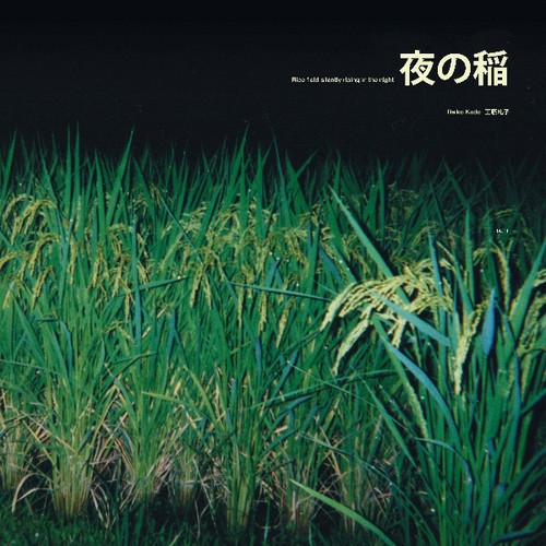 Kudo Reiko - Rice Field Silently Riping In The N in der Gruppe VINYL / Rock bei Bengans Skivbutik AB (3565455)