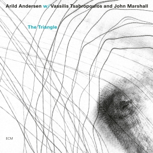 Andersen Arild Tsabropoulos Vass - The Triangle in der Gruppe CD bei Bengans Skivbutik AB (3566190)