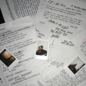 Xxxtentacion - 17 in der Gruppe VINYL bei Bengans Skivbutik AB (3577178)