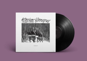 Bottenvikens Silverkyrka - Stadskyrkan in der Gruppe Labels / Lamour Records bei Bengans Skivbutik AB (3587162)