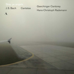 Bach J S - Stay, Ye Angels: Cantatas in der Gruppe CD bei Bengans Skivbutik AB (3597441)