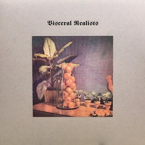 Russell Bruce & Luke Wood - Visceral Realists in der Gruppe VINYL / Bestseller bei Bengans Skivbutik AB (3599425)