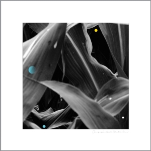 King Arthur - Changing Landscapes in der Gruppe VINYL bei Bengans Skivbutik AB (3599463)