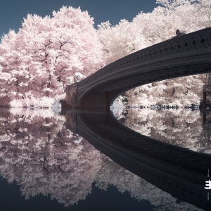 Noble Liam - Long Game in der Gruppe CD bei Bengans Skivbutik AB (3603586)