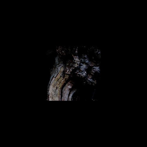 Brunnen - Garden Of Perpetual Dreams in der Gruppe VINYL / Rock bei Bengans Skivbutik AB (3623575)