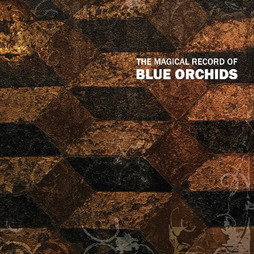 Blue Orchids - Magical Record Of Blue Orchids in der Gruppe VINYL / Rock bei Bengans Skivbutik AB (3629353)