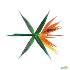 Exo - Vol.4 (The War) (Korean Version/Random Version) in der Gruppe Minishops / K-Pop Minishops / EXO bei Bengans Skivbutik AB (3630945)
