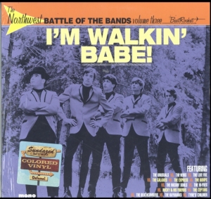 Various Artists - The Northwest Battle Of The Bands V in der Gruppe UNSERE TIPPS / Klassiska lablar / Sundazed / Sundazed Vinyl bei Bengans Skivbutik AB (3635085)