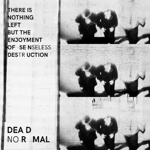 Dead Normal - There Is Nothing Left But The Enjoy in der Gruppe VINYL / Rock bei Bengans Skivbutik AB (3635193)
