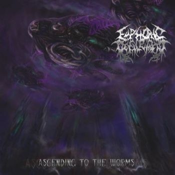 Euphoric Defilement - Ascending To The Worms in der Gruppe CD / Hårdrock/ Heavy metal bei Bengans Skivbutik AB (3636569)