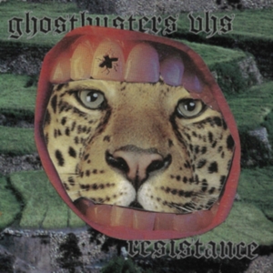 Ghostbusters Vhs - Resistance in der Gruppe VINYL bei Bengans Skivbutik AB (3637374)