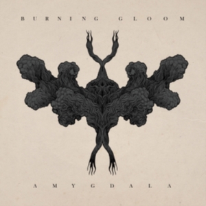 Burning Gloom - Amygdala in der Gruppe VINYL bei Bengans Skivbutik AB (3639300)