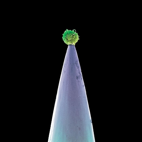 Peter Gabriel - New Blood in der Gruppe CD / Bestseller bei Bengans Skivbutik AB (3639630)