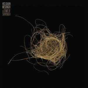 Hiss Golden Messenger - Terms Of Surrender in der Gruppe VINYL / Elektroniskt,World Music bei Bengans Skivbutik AB (3642856)