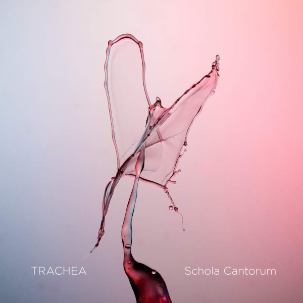 Various - Trachea (Blu-Ray Audio + Sacd) in der Gruppe MUSIK / Musik Blu-Ray / Klassiskt bei Bengans Skivbutik AB (3642892)