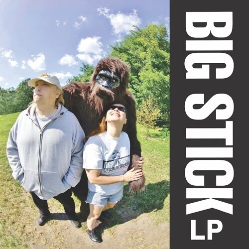 Big Stick - Lp in der Gruppe VINYL / Rock bei Bengans Skivbutik AB (3644912)