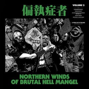 Paranoid - N.W.O.B.H.M. Volume 2 in der Gruppe VINYL bei Bengans Skivbutik AB (3645031)