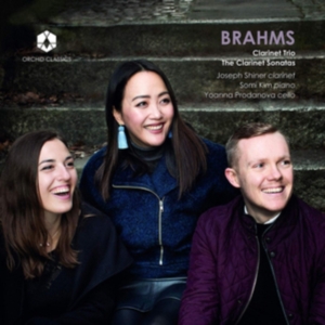 Brahms Johannes - Clarinet Trio & Clarinet Sonatas in der Gruppe Externt_Lager / Naxoslager bei Bengans Skivbutik AB (3645226)
