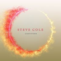 Cole Steve - Gratitude in der Gruppe CD bei Bengans Skivbutik AB (3645238)