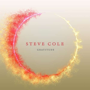 Cole Steve - Gratitude in der Gruppe CD bei Bengans Skivbutik AB (3645238)