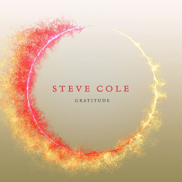 Cole Steve - Gratitude in der Gruppe Externt_Lager / Naxoslager bei Bengans Skivbutik AB (3645238)