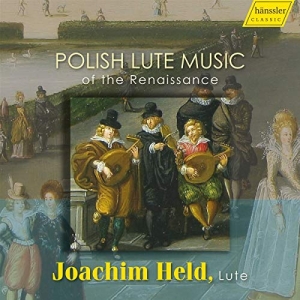 Various - Polish Lute Music in der Gruppe CD bei Bengans Skivbutik AB (3650827)