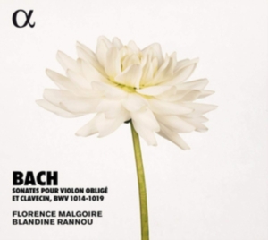 Bach J S - Sonatas For Violin And Harpsichord, in der Gruppe CD bei Bengans Skivbutik AB (3651144)