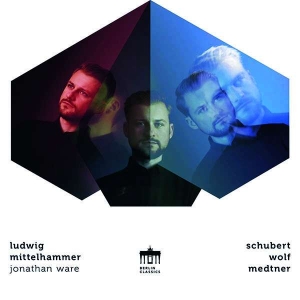 Schubert Franz Wolf Hugo Medtne - Songs in der Gruppe CD bei Bengans Skivbutik AB (3651167)