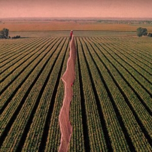 Possible Humans - Everybody Split in der Gruppe CD bei Bengans Skivbutik AB (3653827)