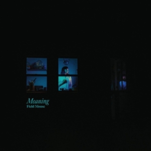 Field Mouse - Meaning in der Gruppe VINYL bei Bengans Skivbutik AB (3653996)