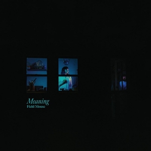 Field Mouse - Meaning in der Gruppe CD bei Bengans Skivbutik AB (3653997)