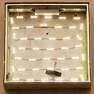 Oso Oso - Basking In The Glow in der Gruppe CD bei Bengans Skivbutik AB (3654019)