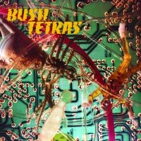 Bush Tetras - There Is A Hum in der Gruppe VINYL bei Bengans Skivbutik AB (3654084)
