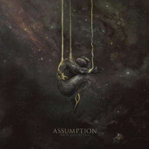 Assumption - Absconditus in der Gruppe VINYL bei Bengans Skivbutik AB (3654240)