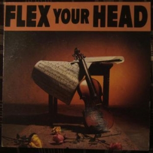V/A - Indie Rock - Flex Your Head in der Gruppe VINYL bei Bengans Skivbutik AB (3656186)